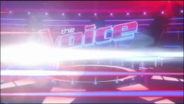 The Voice - Season 24 Episode 09